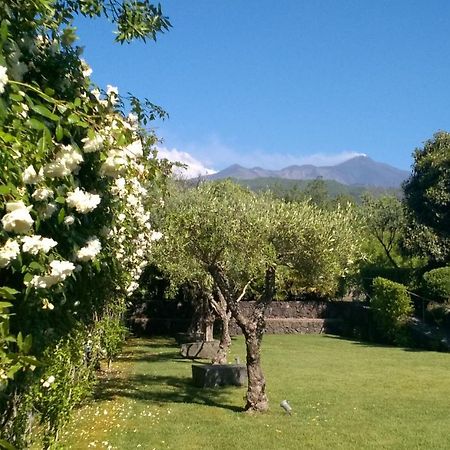 Casa Vacanze Prato Verde زافيرانا إتنيا المظهر الخارجي الصورة