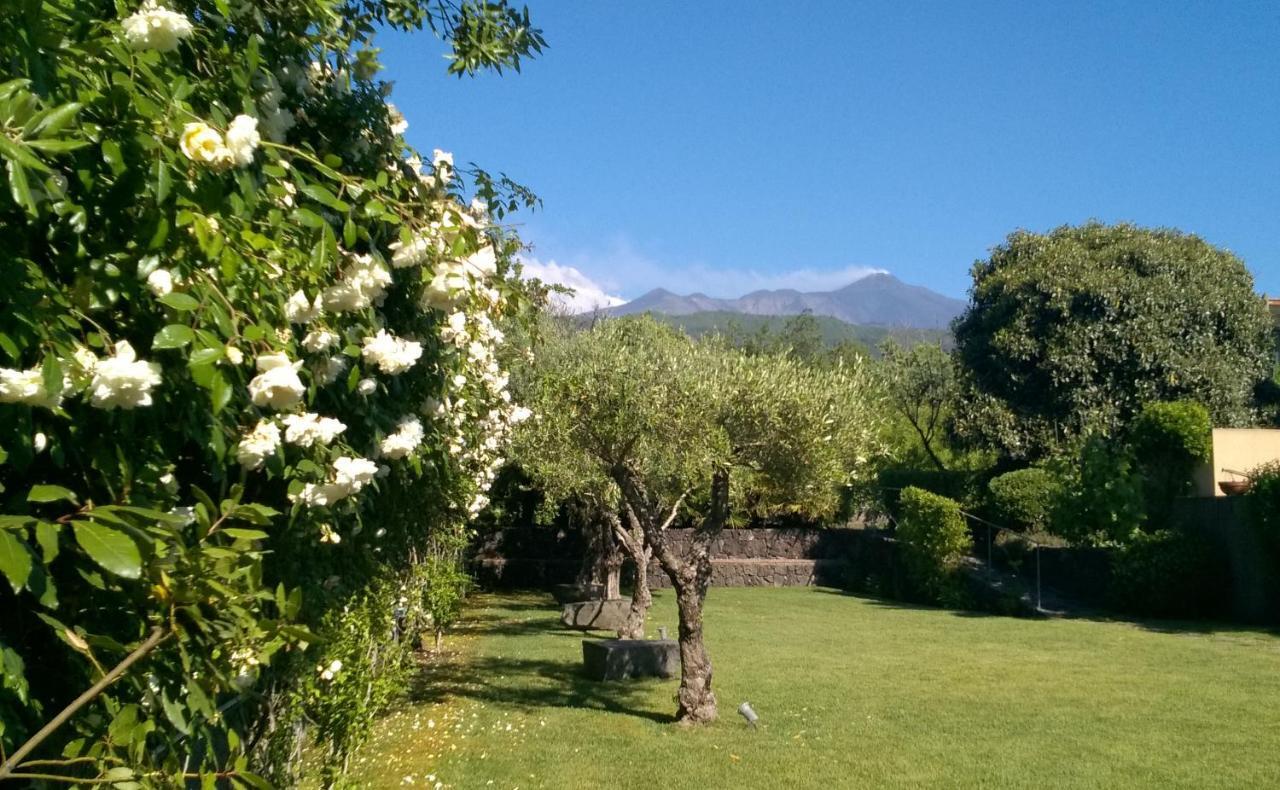 Casa Vacanze Prato Verde زافيرانا إتنيا المظهر الخارجي الصورة